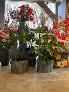 bloemen Silk-ka zijde