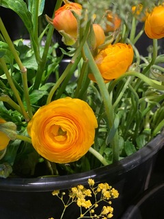 bloemen Bloemen