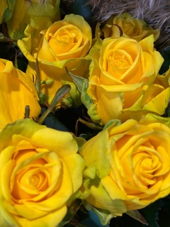 bloemen Bloemen