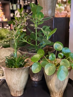 planten Planten