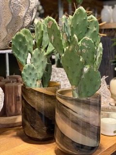 planten Planten