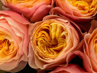 bloemen Bloemen