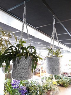 planten Planten