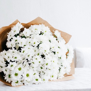 bloemen Bloemen
