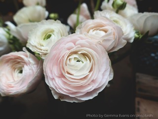 bloemen Bloemen